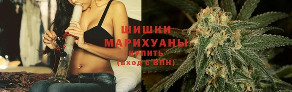 бошки Алзамай