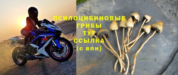 бошки Алзамай